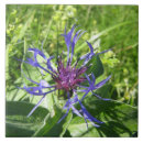 Search for mural tiles Green