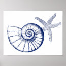 Search for nautilus seashell posters Coastal