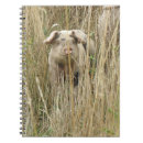 Search for spotty notebooks Animals