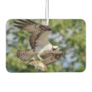 Search for bass car air fresheners Fish