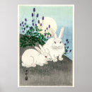 Recherche de lapin blanc posters Lapins