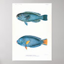 Search for biologic art Anatomical