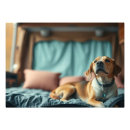 Recherche de chien endormi posters Chiot