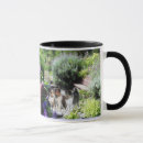 Search for shelties mugs Collie