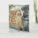 Search for squirrel birthday cards Wild