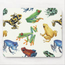 Recherche de toxique tapis souris Grenouille