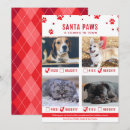 Search for four cats cards Dogs