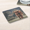 Search for highland cow coasters Calf