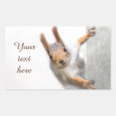 Recherche de curieux autocollants Animal