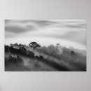 Search for big pine posters Nature
