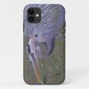 Search for great blue heron iphone cases Herons