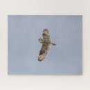 Search for ear puzzles Wildlife