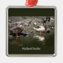 Search for mallard duck ornaments Animals