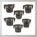 Search for veterinary art Animal