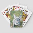 Recherche de taureau jeux de cartes Canins