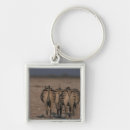 Search for plains keychains Outdoors