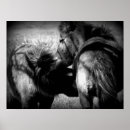 Search for filly posters Mare