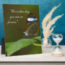 Recherche de papillons plaques Toute personne