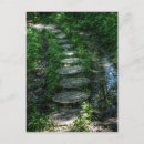 Search for stepping stone Stepping stones