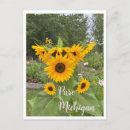 Recherche de sunflower cartes postales Floral