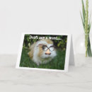 Search for gerbil cards From the group