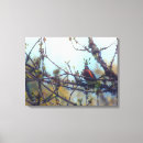 Search for robin bird canvas prints Wildlife
