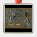 Search for americana ornaments Nature