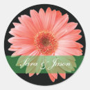 Search for black daisy stickers daisies