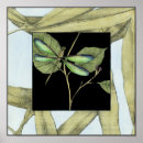 Search for dragonfly posters Black