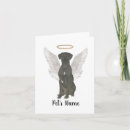 Search for dane cards Memorial