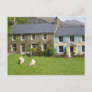 Search for wales postcards Great britain