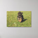 Search for back yard art Dog
