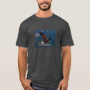 Search for dark eagle Cool