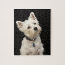 Search for west highland terrier puzzles Dogs