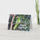 Search for parrot birthday cards Animal