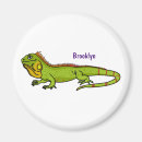Search for iguanas magnets Reptile