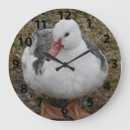 Recherche de volaille horloges Animal