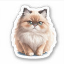 Search for himalayan stickers Pet