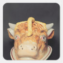 Search for dishes stickers Ceramics