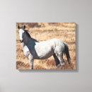 Recherche de équin impressions sur toile Chevaux