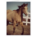 Recherche de trot cartes postales Équine