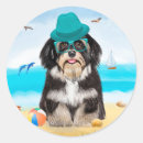 Search for havanese dog stickers Animal