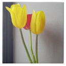 Search for tulip tiles Ceramic