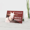 Search for funny goat cards Goats