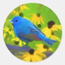 Recherche de clôture autocollants Oiseau