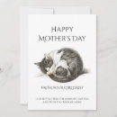 Recherche de chatons chats vœux cartes Pour lui