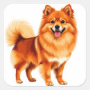 Search for pomeranian art stickers Fluffy