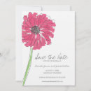Recherche de marguerite africaine invitations Rose