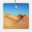 Search for dune ornaments Photography