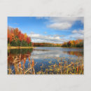 Search for cattail postcards Canada